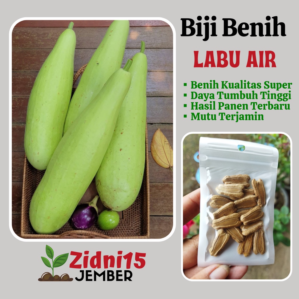 

10 biji Labu Air BLONCENG Sayuran labu