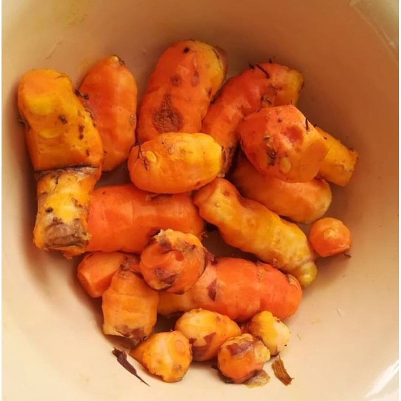 

Kunyit Segar / Kunir Segar