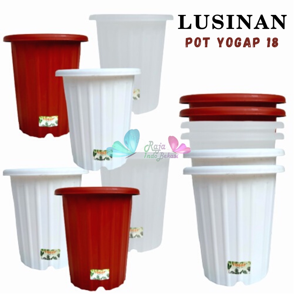 LUSINAN Pot Yogap 18 Putih Coklat Merah Bata Bening Transparan TERMURAH GROSIR-Pot Yogap Ypt 10 13 15 Putih Coklat Merah Bata Bening Transparan Pot Yogap Yoga Murah Yogap 17 18 19