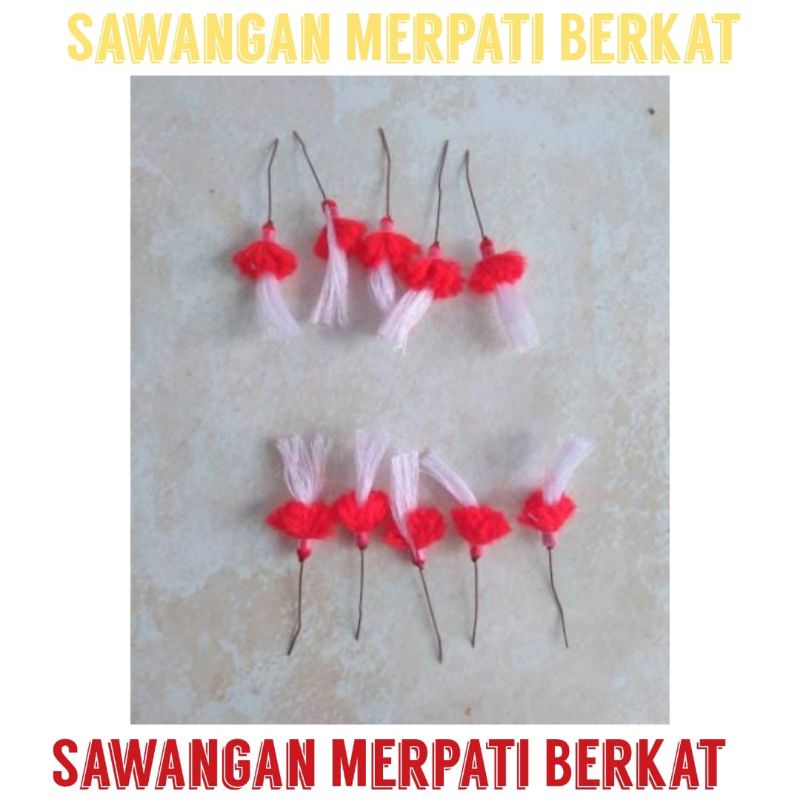 anting burung merpati dara sawangan merpati