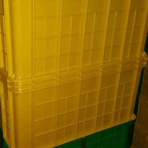 

Expedisi 64x43x10 Hanata 2100 S Box Container Keranjang Bak Kolam Ikan
