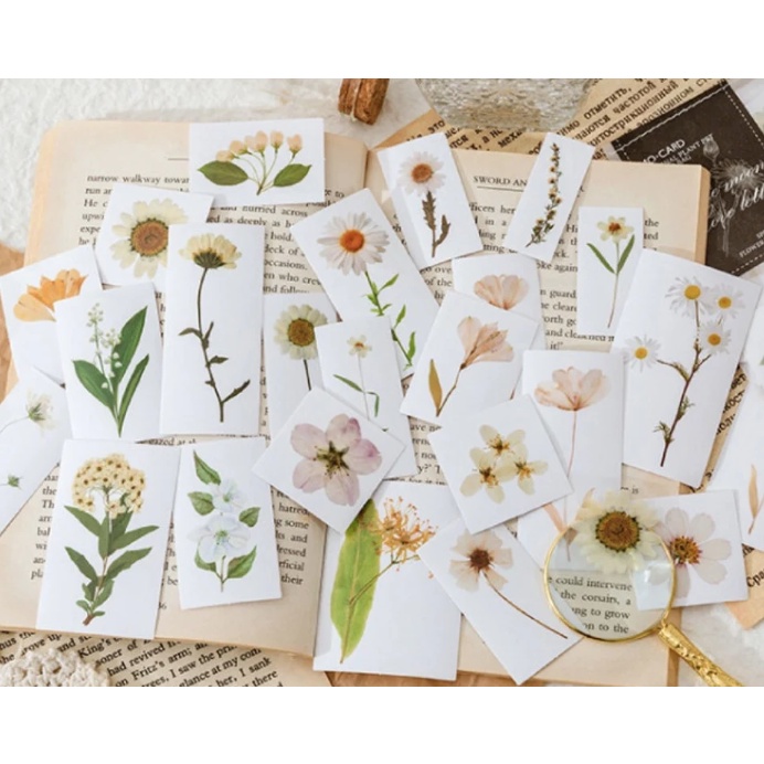 

25 Pcs Pressed White Flowers Clear Sticker, Floral PVC Sticker, Scrapbooking, Flora Fauna Sticker, Botanicals, Daisy, Daisies, Florist