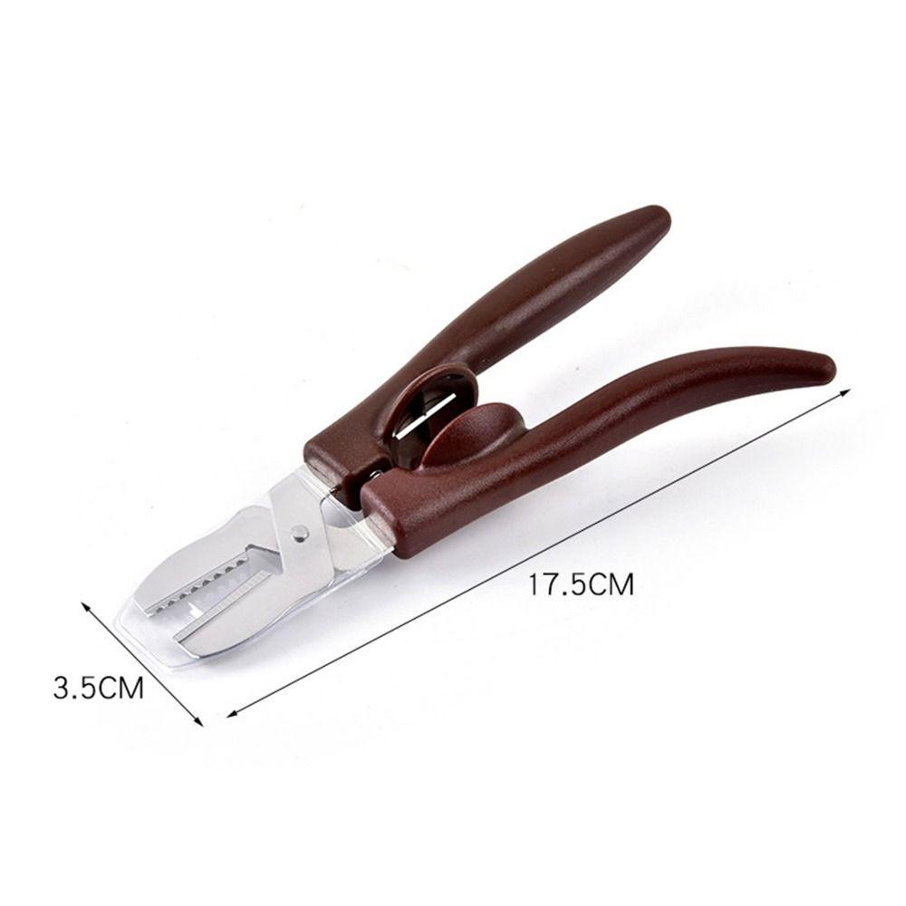 Preva Chestnut Cutter Klip Pembuka Dapur Nyaman Castanea Mollissima Peeler