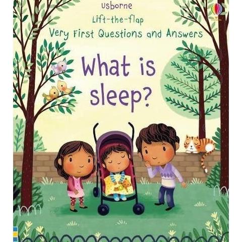 Usborne Lift The Flap Book Bedtime Story Book Activity Book