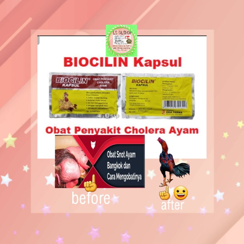 10 saset BIOCILIN 10 butir obat cholera ayam burung merpati berak darah hijau jengger biru by ekafarma