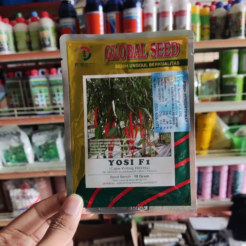 Benih Cabe Keriting YOSI F1 10g dari GLOBAL SEED - Cabai Keriting HIBRIDA Unggul Berkualitas