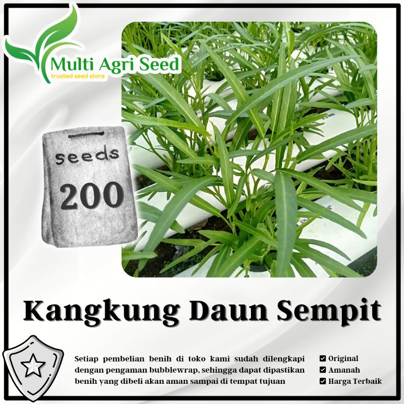 Jual Biji Benih Kangkung Daun Sempit Bibit Kangkung Unggul Shopee