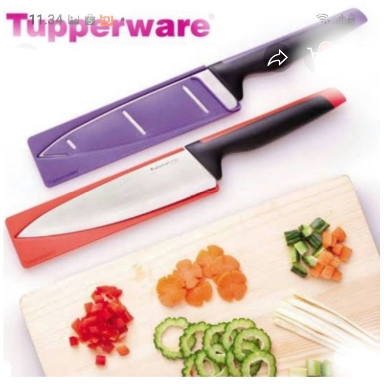 Knife Chef purple tupperware
