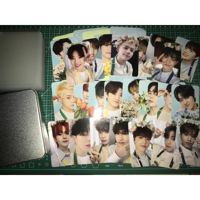 OFFICIAL PHOTOCARD pc TINCASE BLOOMING TREASURE JAEHYUK