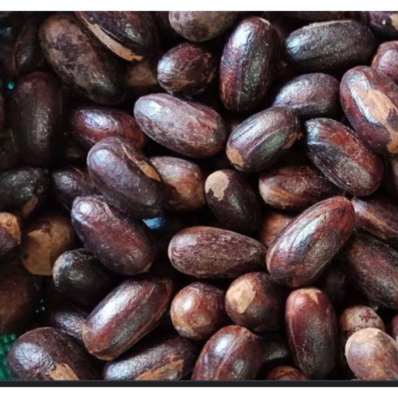 

pala/biji pala lonjong 100gram kualitas bagus