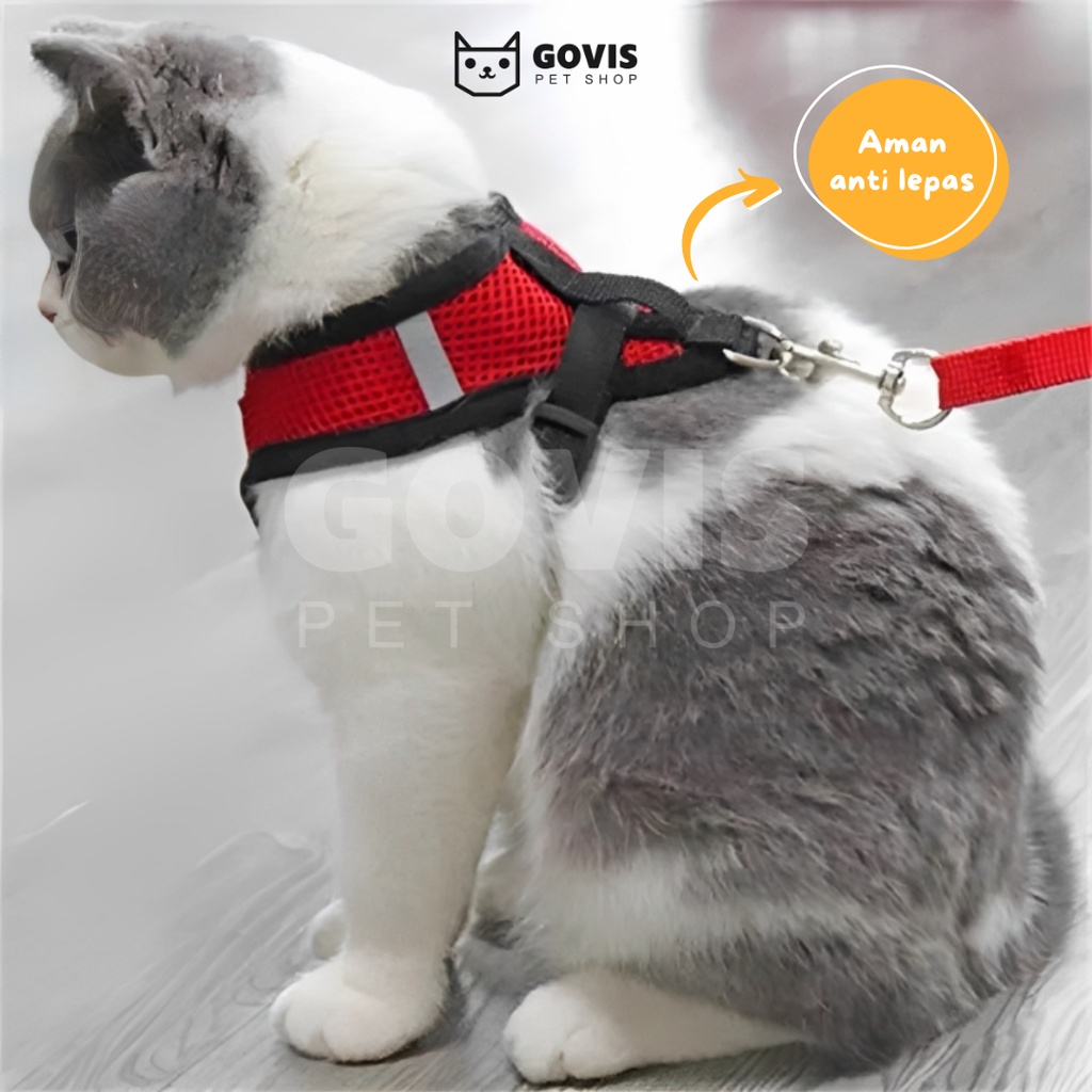 Rompi Kucing Harness Tali Tuntun Aksesoris Hewan Peliharaan