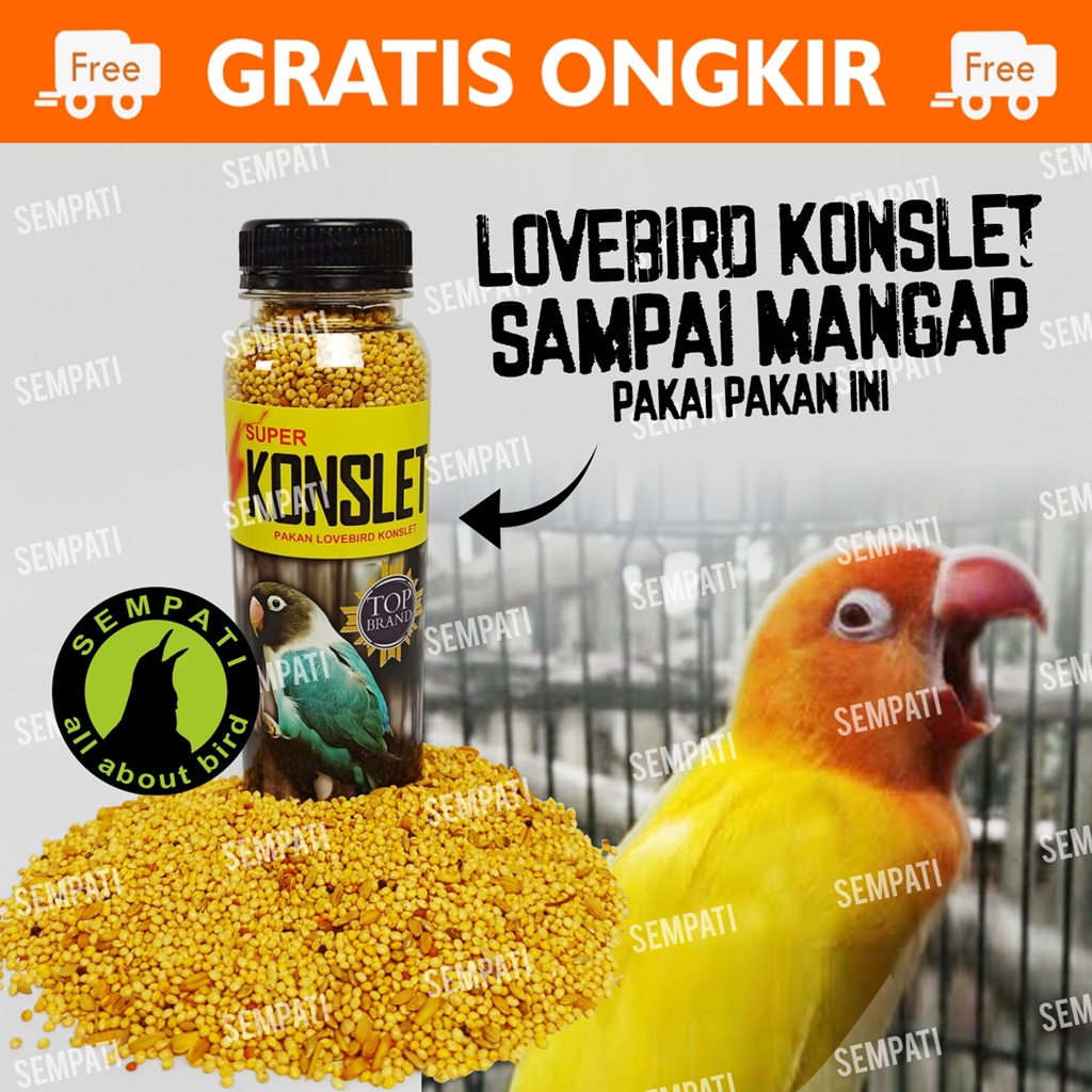 PAKAN SUPER KONSLET SEMPATI MILET RACIKAN BURUNG LOVEBIRD LOVE BIRD LOMBA SPONTAN FIGHTER GACOR SPRK