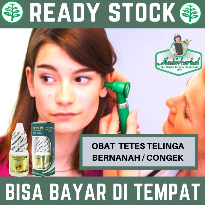 

TERBARU COD - Obat Tetes Telinga Bernanah Atau congek menahun - Propolis SM /OBAT TELINGA BERDENGUNG/OBAT TELINGA BERAIR/OBAT TELINGA TERSUMBAT/OBAT TELINGA BUDEG/OBAT TELINGA BERNANAH