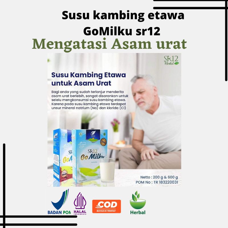 

Susu kambing etawa GoMilku sr12 ,susu etawa bubuk asli, mengatasi sakit asam urat