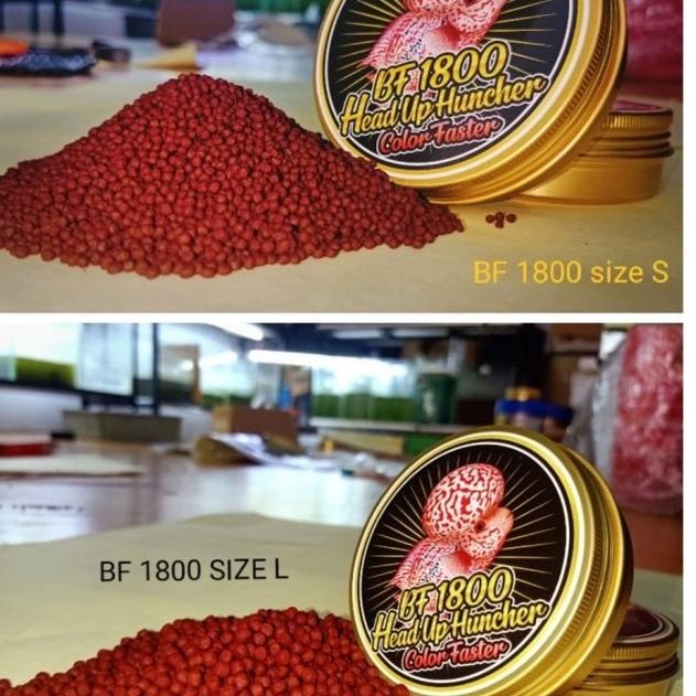 Pelet pakan louhan BF1800 bf 1800 head up collor faster red merah top - S 2mm