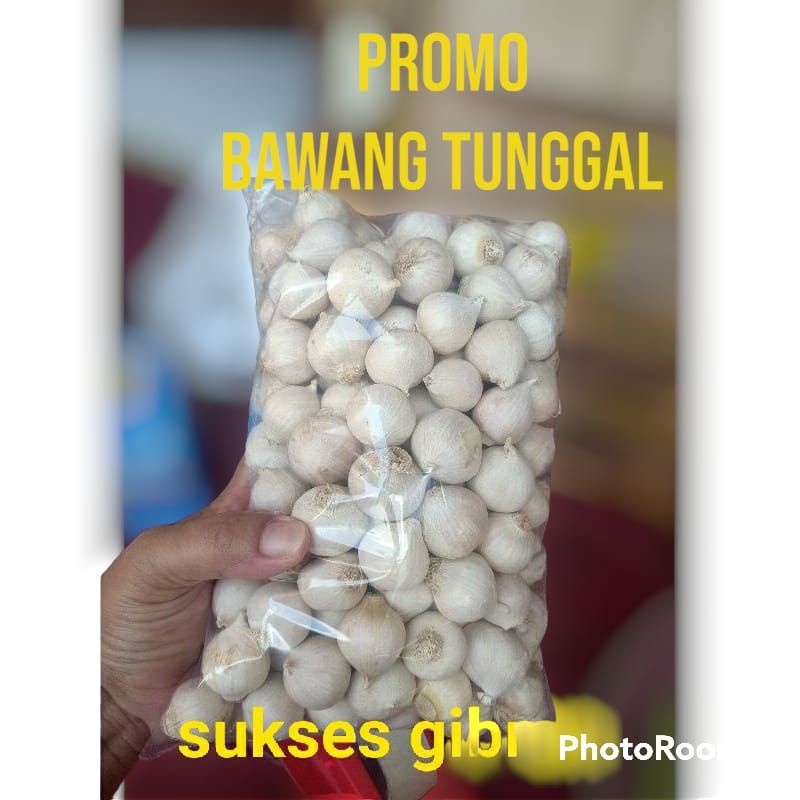 

bawang putih tunggal super putih 1kg/bawang tunggal free kardus packing baru