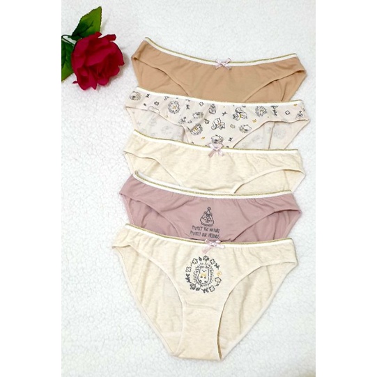 SALE CELANA DALAM YOUNG HEARTS HEDGEHOG & FRIENDS