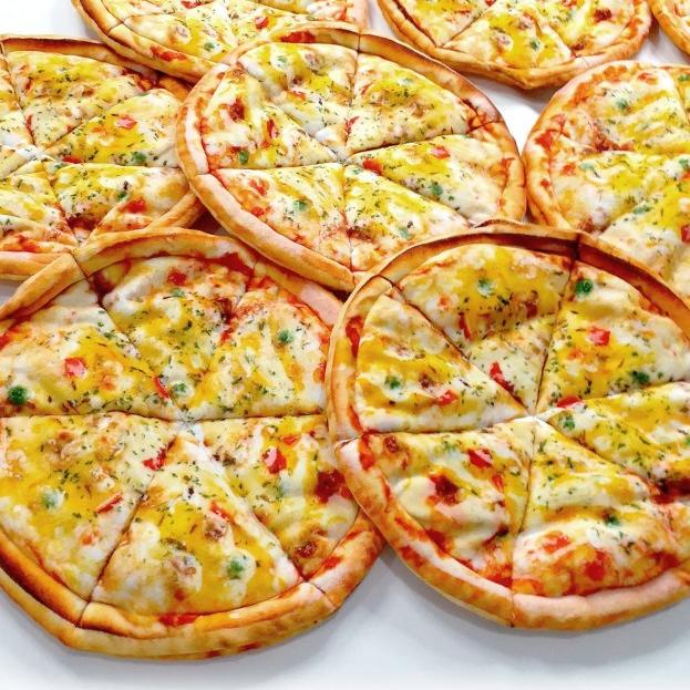 Boneka Pizza Loyang Untuk Prank atau Tukar Kado