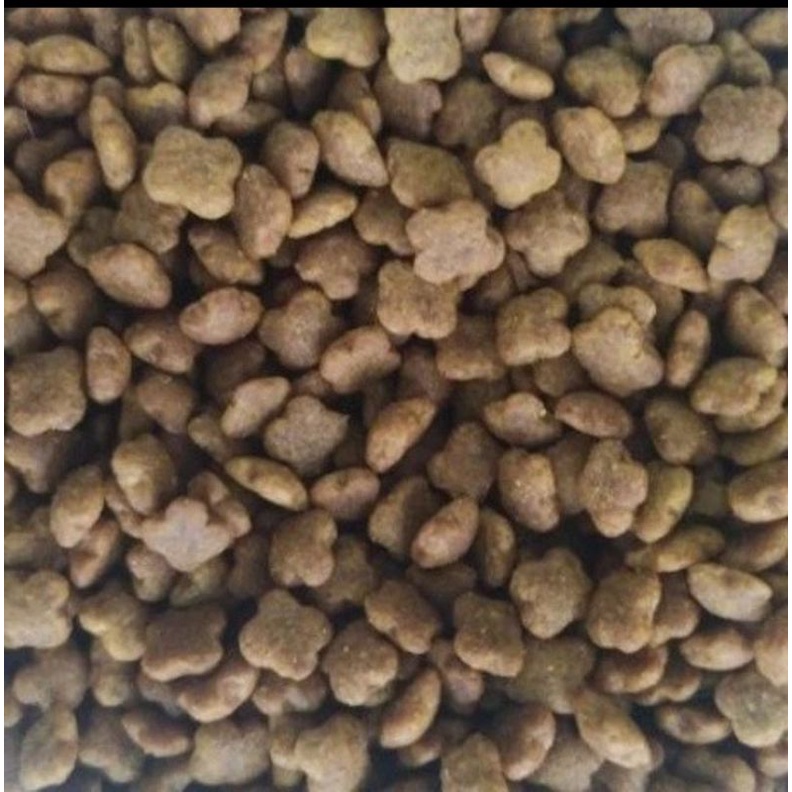 Expedisi Catsrang Kitten 8kg Freshpack / Makanan Kucing Dry Food Catsrang Kitten 8kg