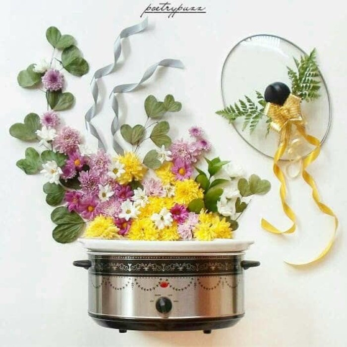 Slow Cooker Slow Cooker Vicenza Vsc01