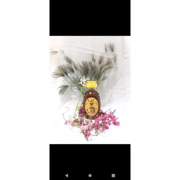 

Madu Alif Madu Randu murni 100% pure Honey asli Hutan Baduy menjaga daya tahan tubuh