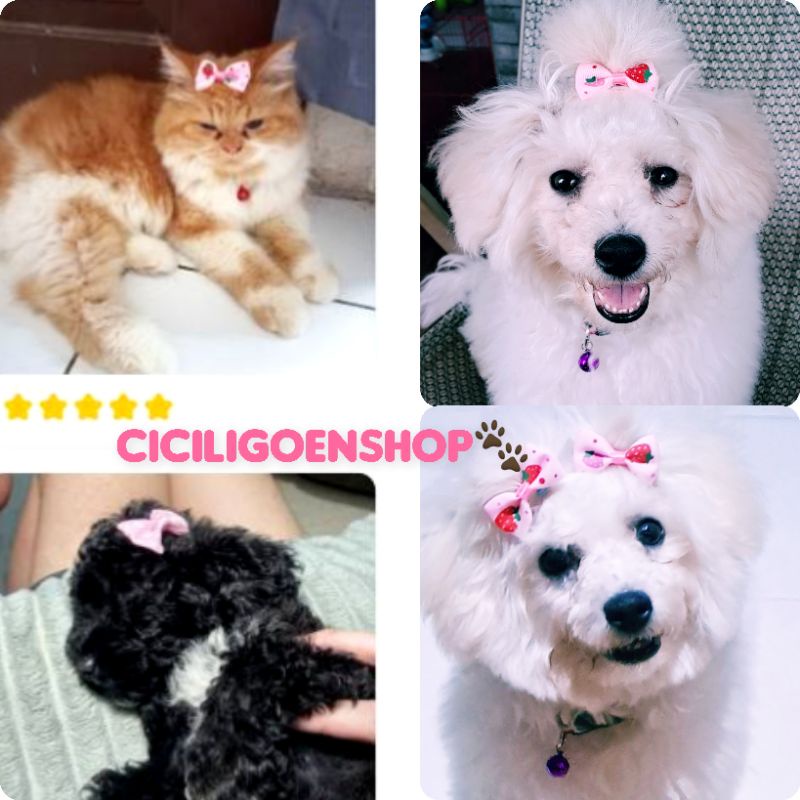 klip rambut hewan kucing anjing kelinci pin hair clip dog jepit jepitan