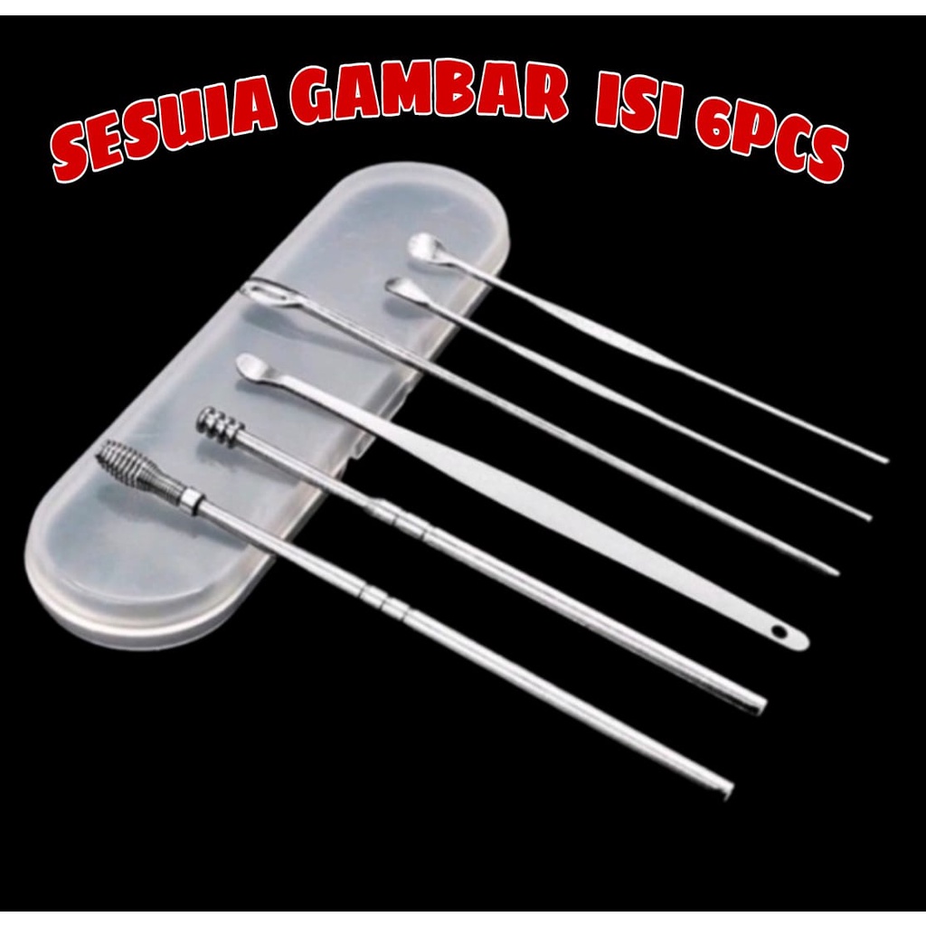 PEMBERSIH TELINGA KOREK KUPING EAR WAX PICKER 1 SET ISI 6 PCS / KOREK KUPING STAINLESS - BENUA DUNIA