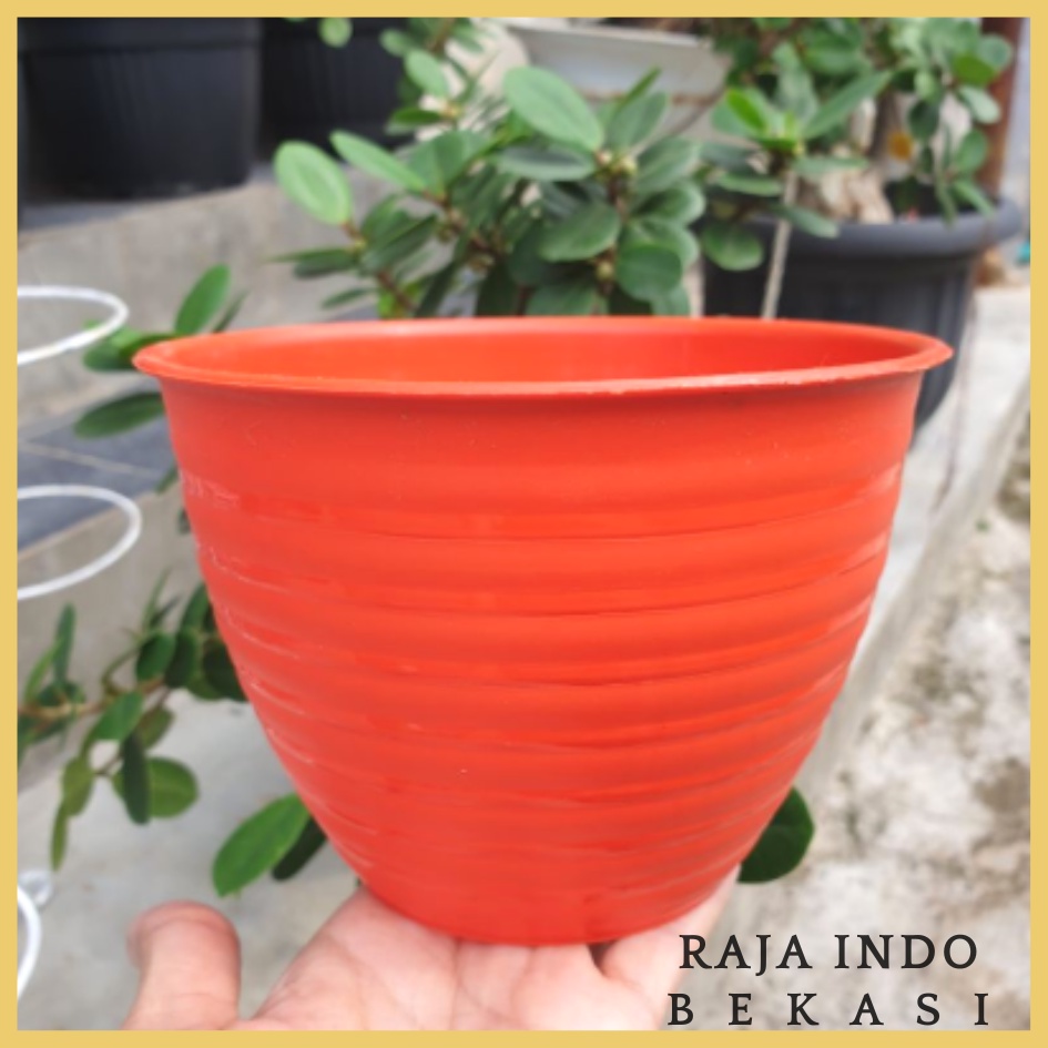 TERMURAH MDN TAWON 15 (15cm) pot bunga model tawon putih dan warna warni GROSIR