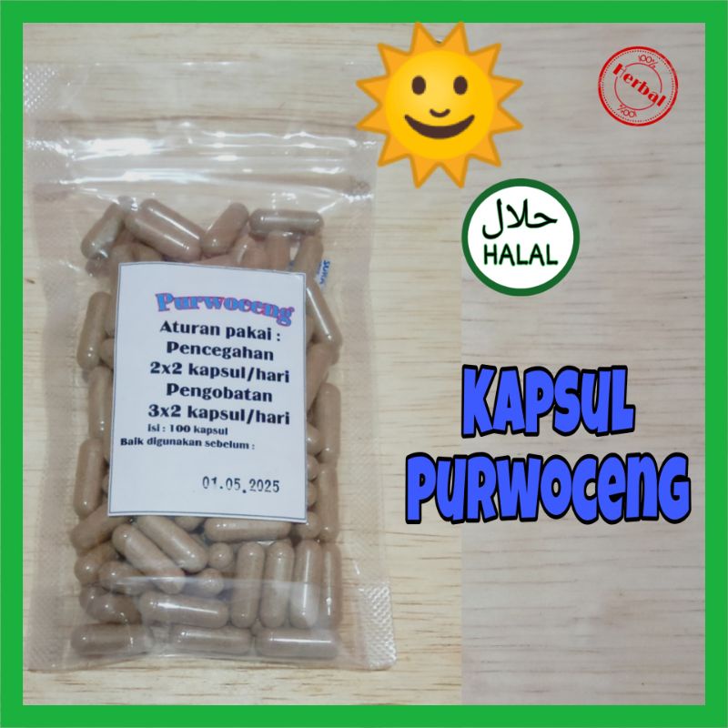 

Purwoceng isi 100 kapsul Herbal stamina dan daya tahan tubuh