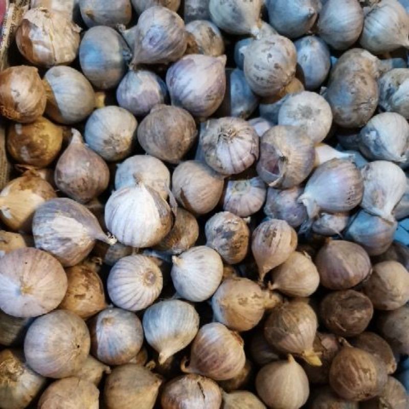 

BAWANG PUTIH TUNGGAL 100G