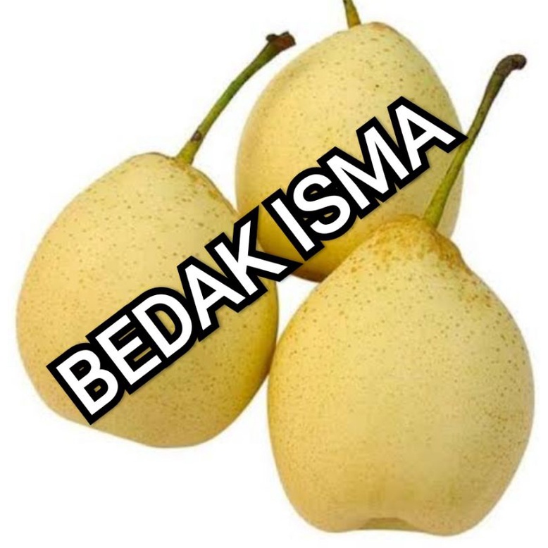 

PEAR YALIE IMPORT