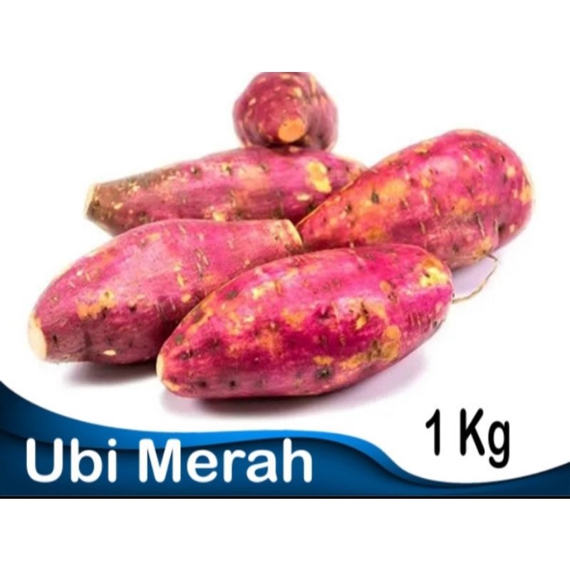 

Ubi Merah Kemasan 1 kg