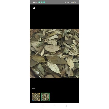 

daun pala kering 100 gram