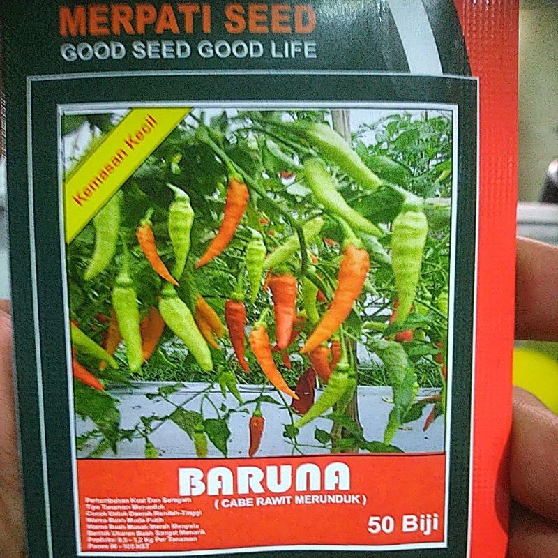 Benih Cabe Rawit Merunduk BARUNA isi 50 Biji Ori Merpati Seed