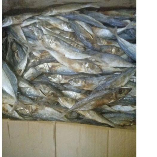 

た Ikan kering klotok tawar/towo GROSIR ㄳ
