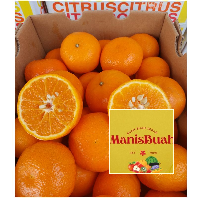 

honey murcot jeruk per dus