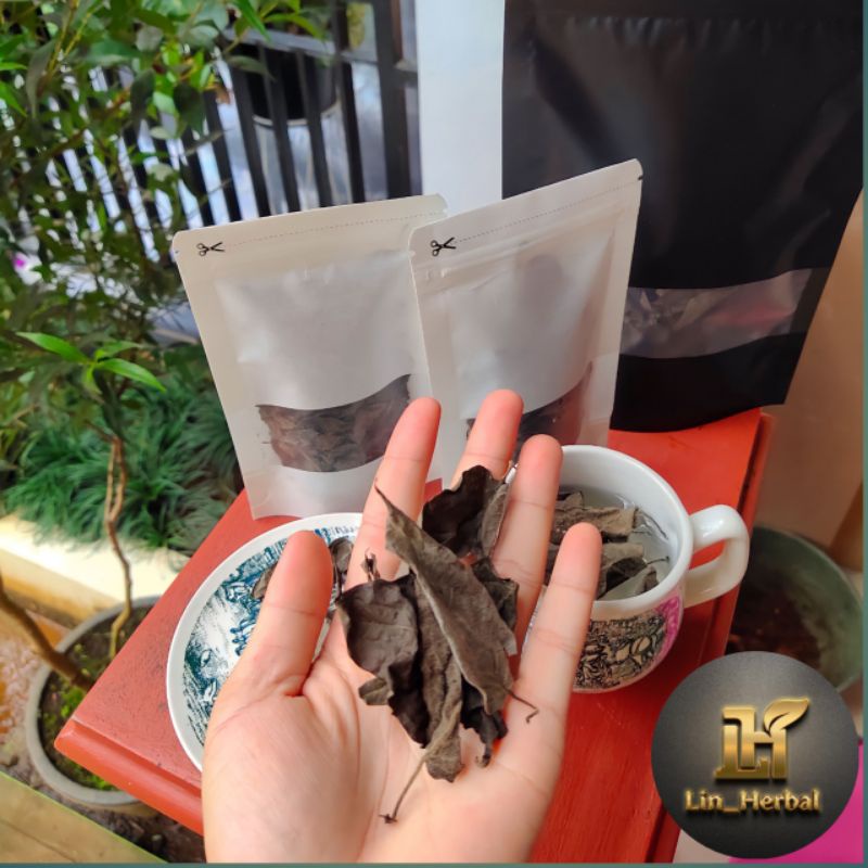 

Baru Jual Teh Daun Kentutan Atau Daun Sembukan Isi/100 Grm
