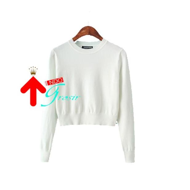 JAKET SWEATER HOODIE CROP POLOS SETENGAH BADAN POLOS