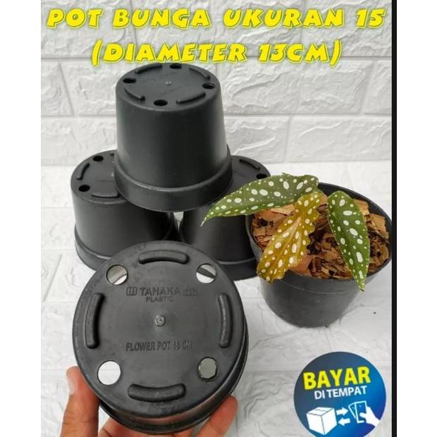 Pot bunga uk 15 (diameter 13cm) isi 1 lusin/ pot plastik/ pot bunga/ pot tanaman/ pot murah