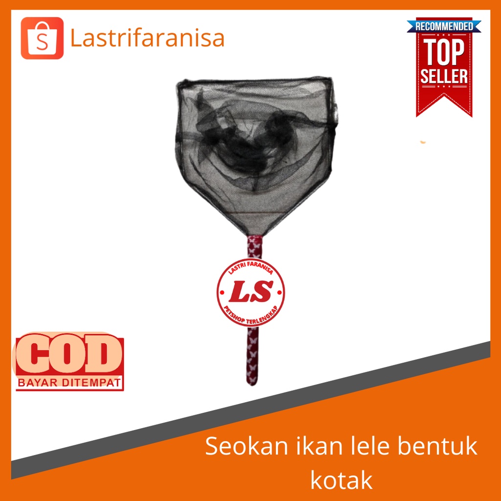 Serokan ikan seser ikan serokan ikan lele saringan ikan lele serok ikan lele seser ikan lele serokan
