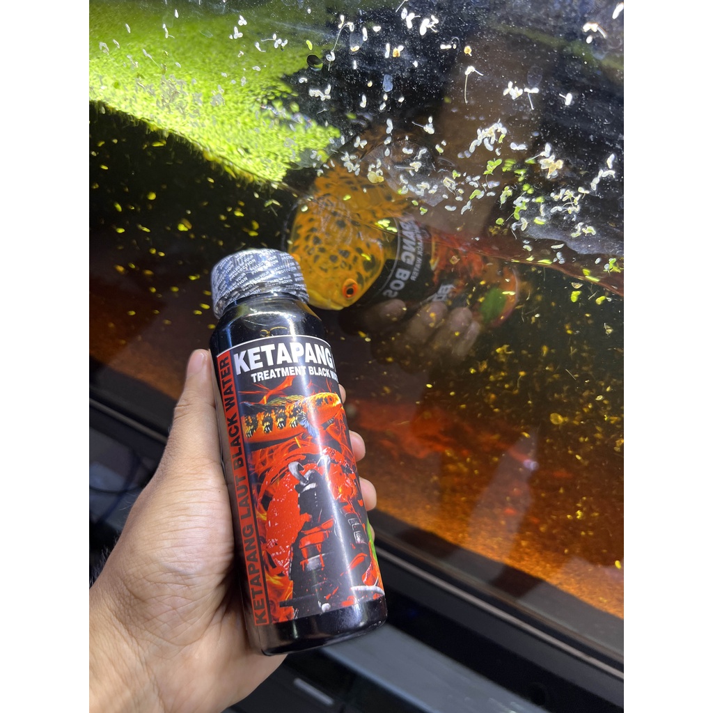 EKSTRAK KETAPANG BOS 250 ml ( KETAPANG LAUT LUMER BLACK WATER PROGRESS CHANNA)