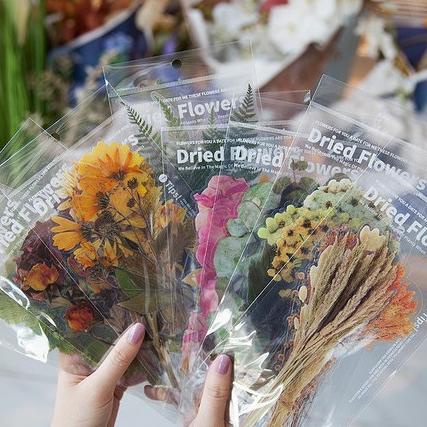 

PRODUK- DRIED FLOWER PET STICKERS PACK - STIKER BUNGA KERING TRANSPARAN (6PCS) .