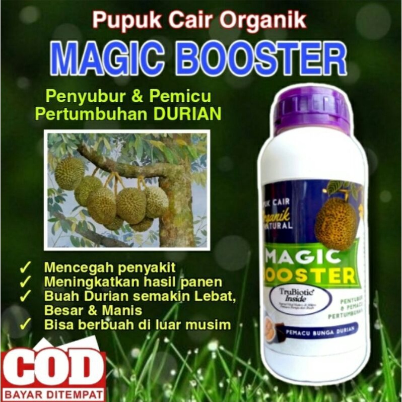 

PENYUBUR & PEMICU TANAMAN DURIAN