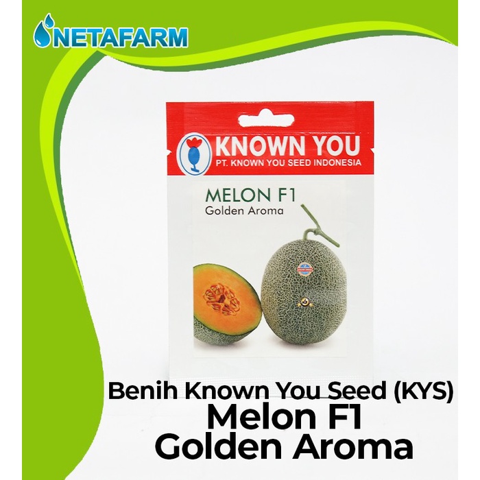 Benih / Biji / Bibit KNOWN YOU SEED KYS MELON F1 - 1 Pack