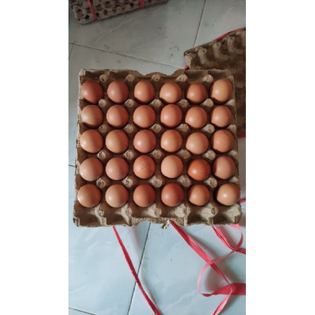 

Telur Ayam Negeri 1 Tray (isi 30 butir)