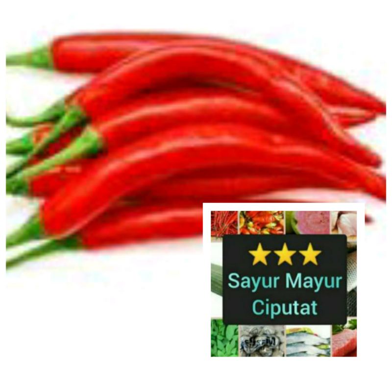 

Cabe merah Besar