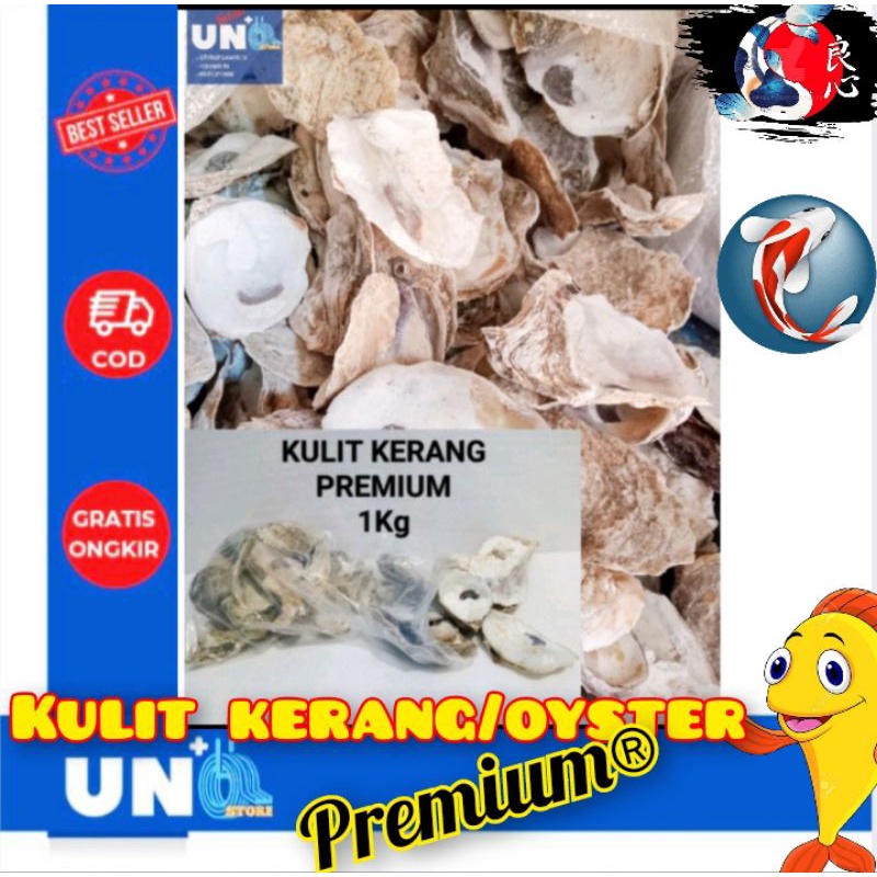 KULIT KERANG OYSTER MEDIA FILTER KOLAM KOI PREMIUM 1Kg