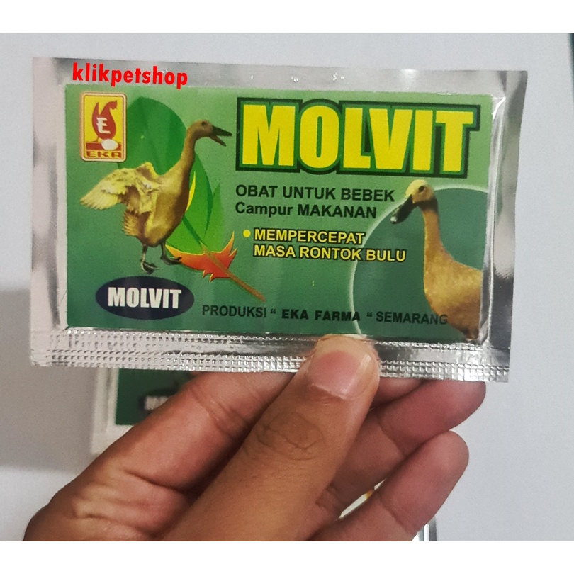 Molvit Vitamin Rontok Bulu Bebek 10 gr