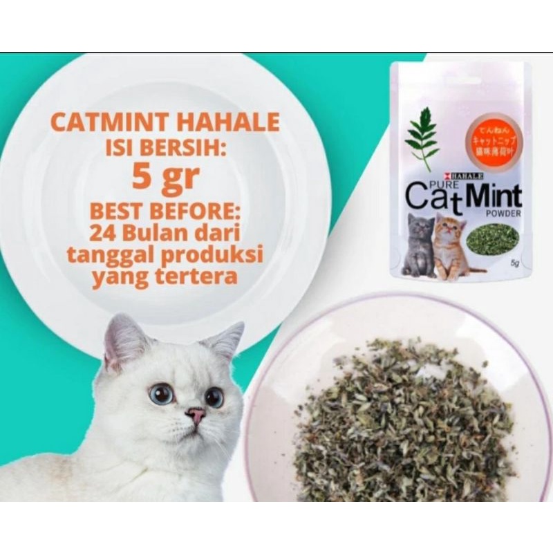 Catnip catmint cat mint - PURE CATMINT POWDER - BIKIN FLY KUCING DAN LEBIH AKTIF