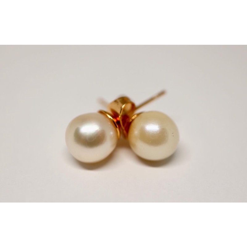 PROMO BERSERTIFIKAT GIWANG MUTIARA LAUT ASLI GRADE A BERSERTIFIKAT